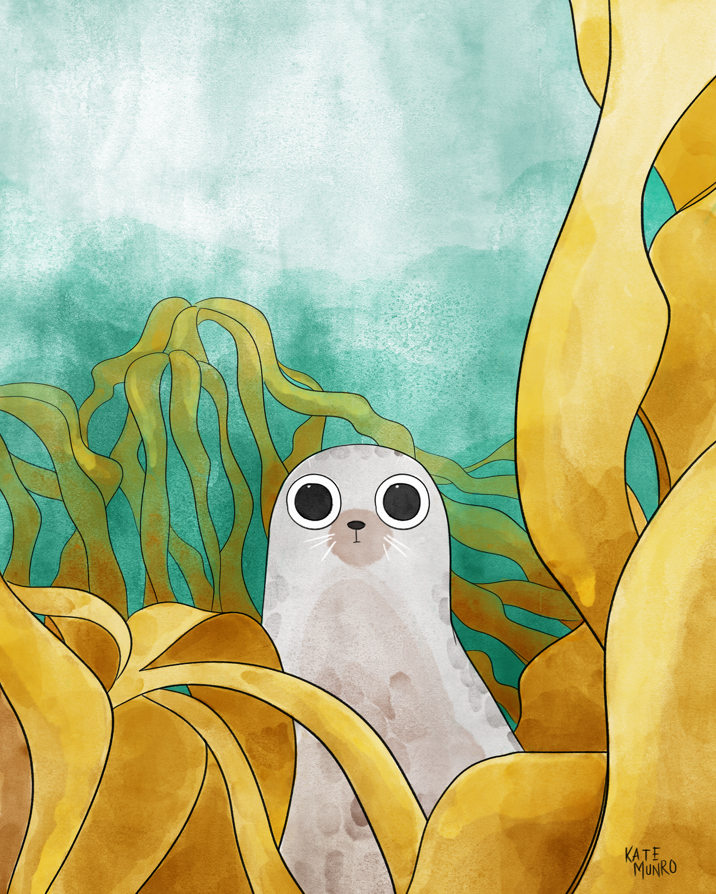 The Curious Seal