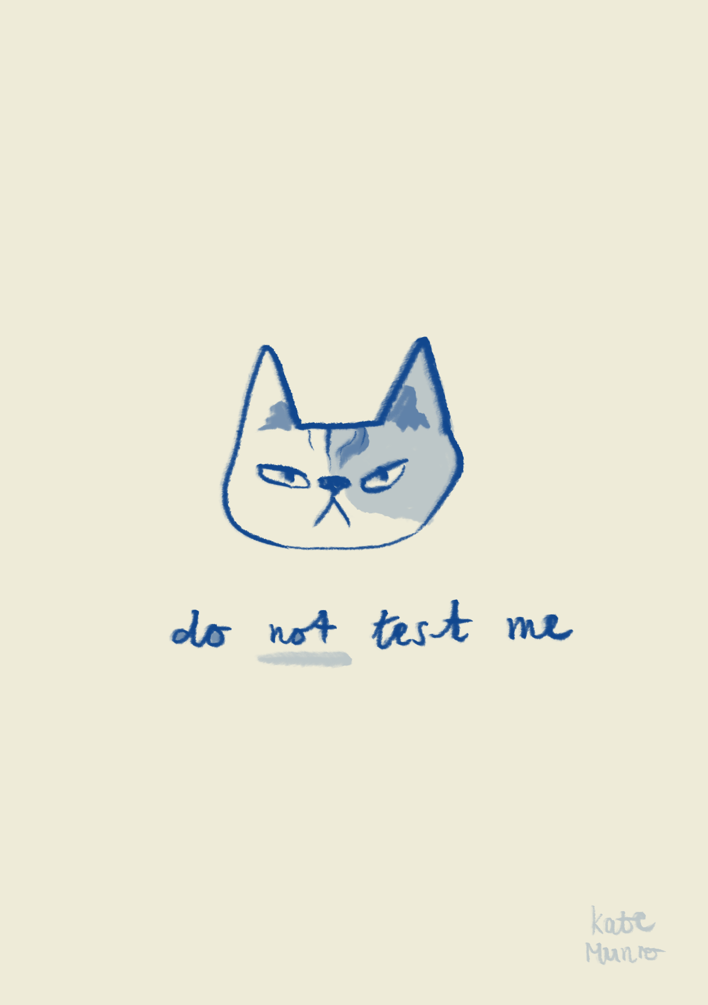 Angry Kitty