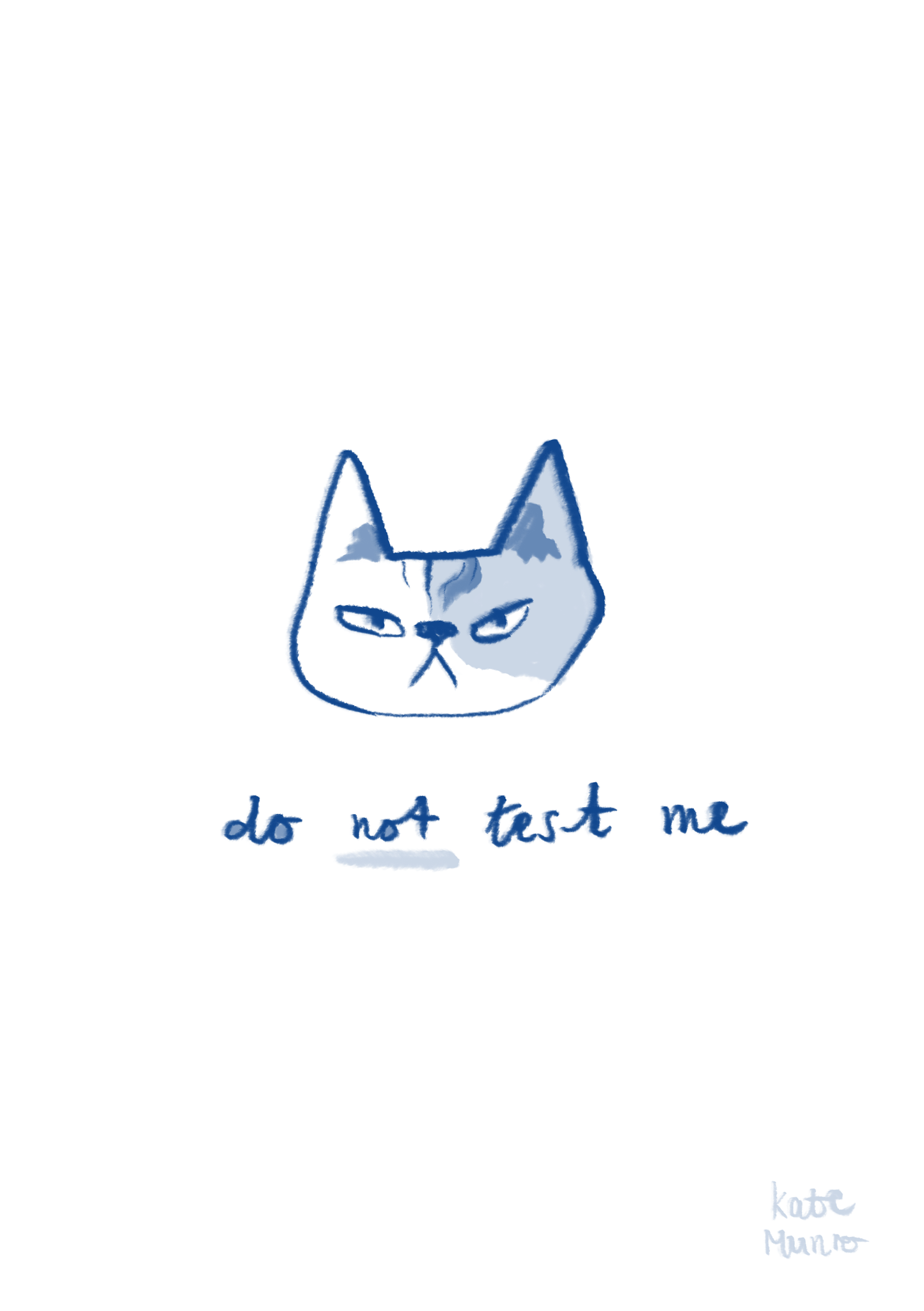 Angry Kitty