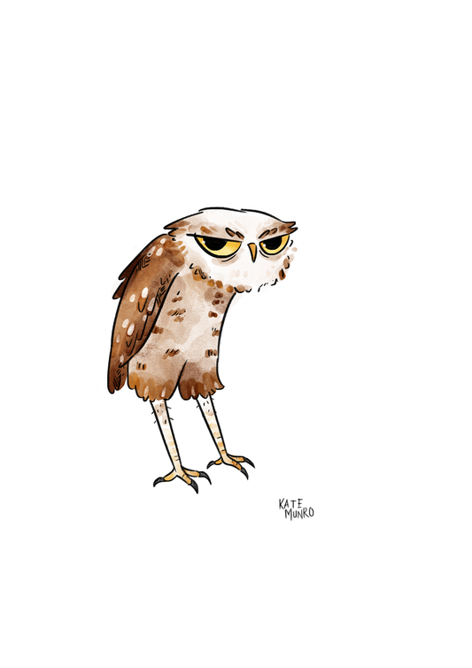 Grumpy Owl